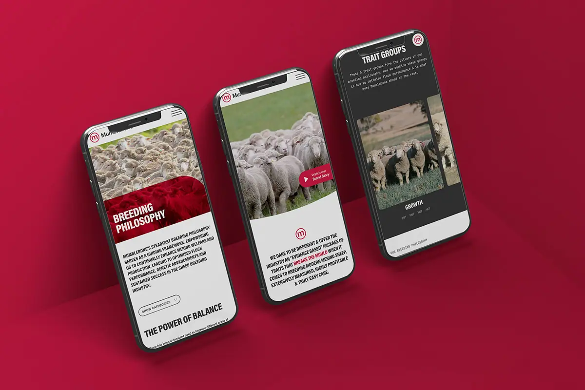 Three mobile website screen mockups for Mumblebone Merinos on a red background