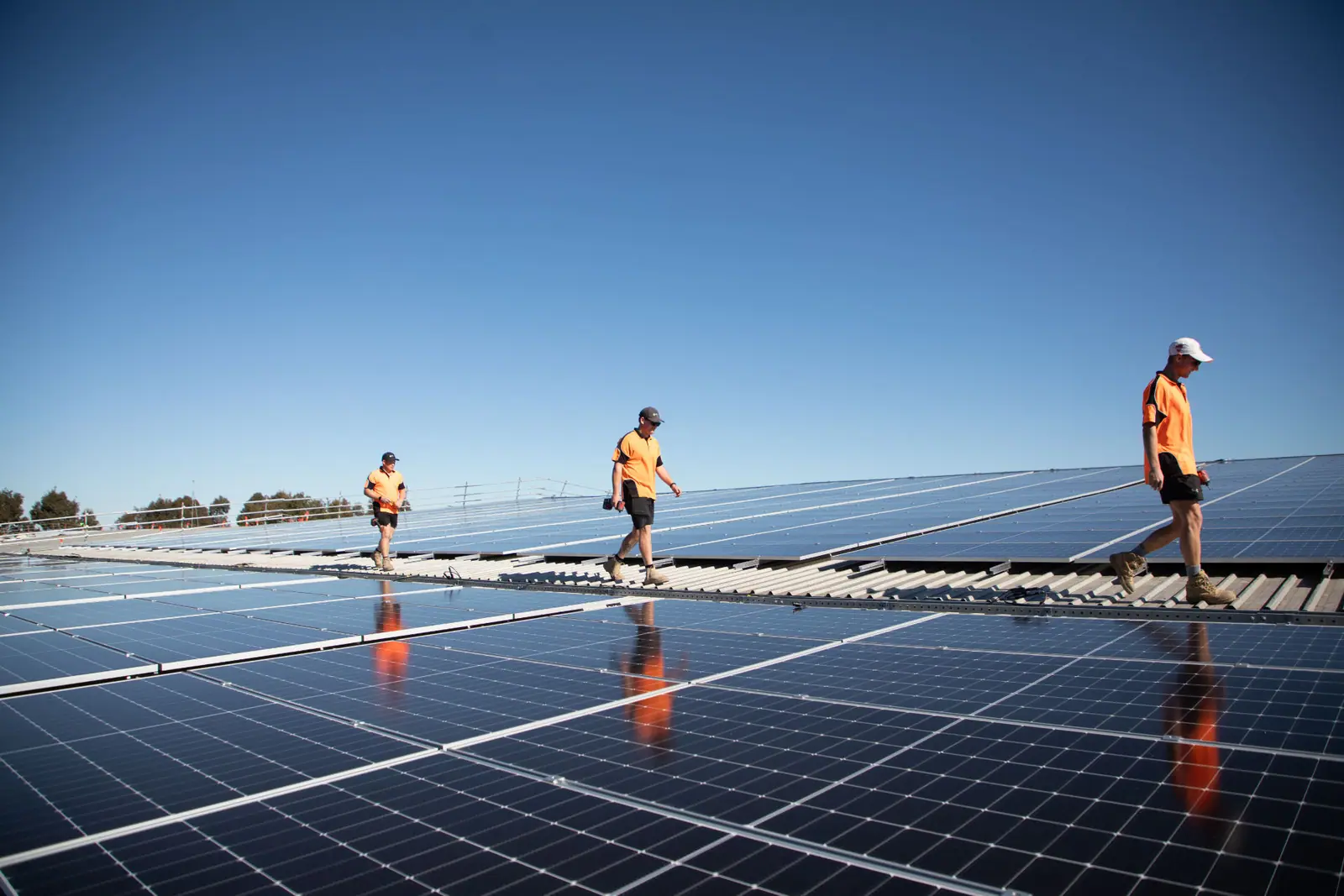 Solar installers walking across a large rooftop solar panel array for Next Generation Energy