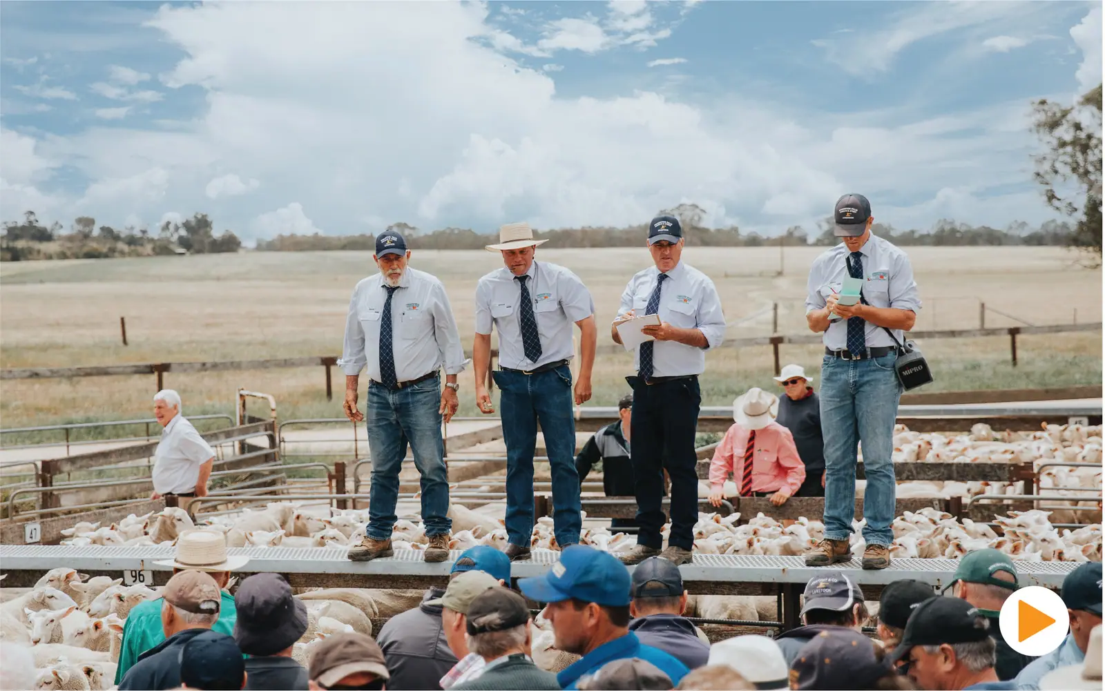 PPHS livestock auction team standing above sheep pens and addressing a crowd at the sale yards