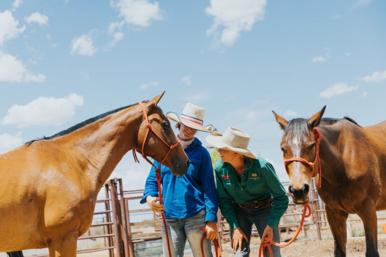 Two people in hats handling two horses beside cattle yards on a sunny day