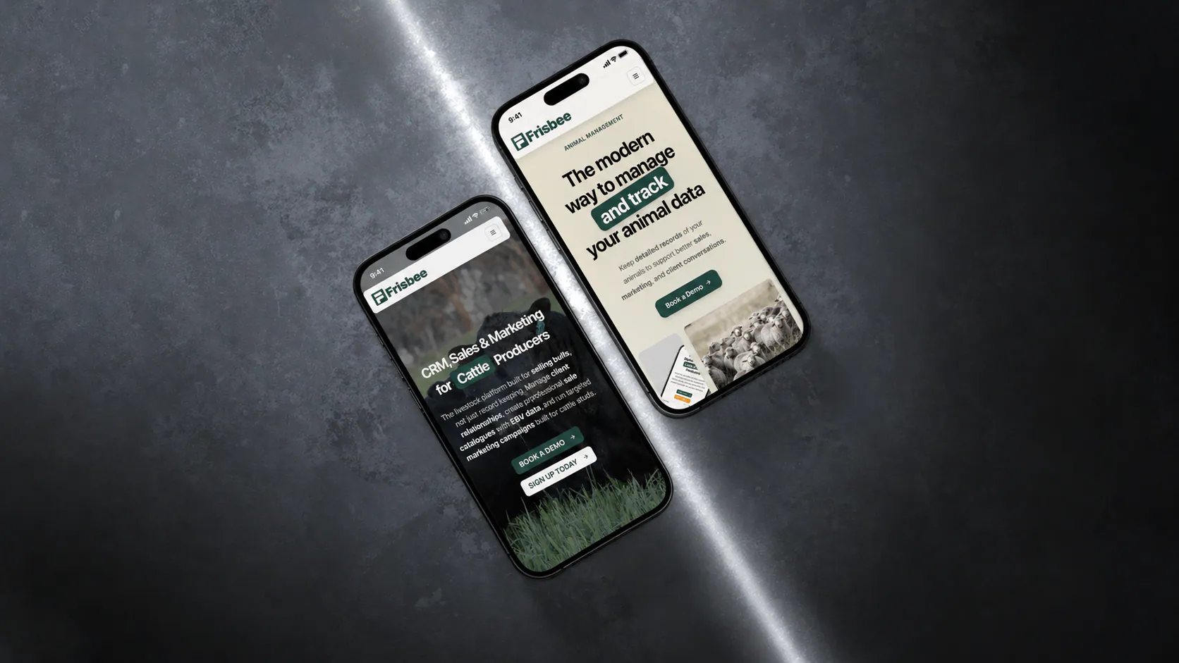 Two Frisbee mobile website screens on a dark metal surface