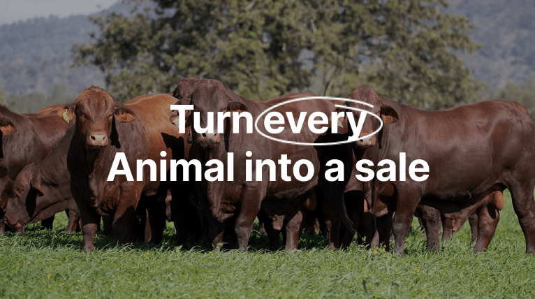 Frisbee campaign line over cattle reading turn every animal into a sale