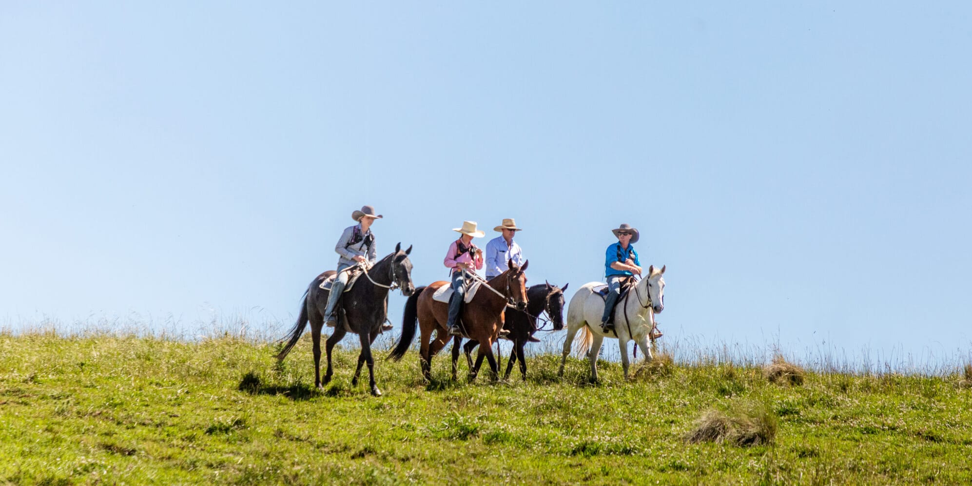 Riders on horseback gathered along the crest of a grassy hill
