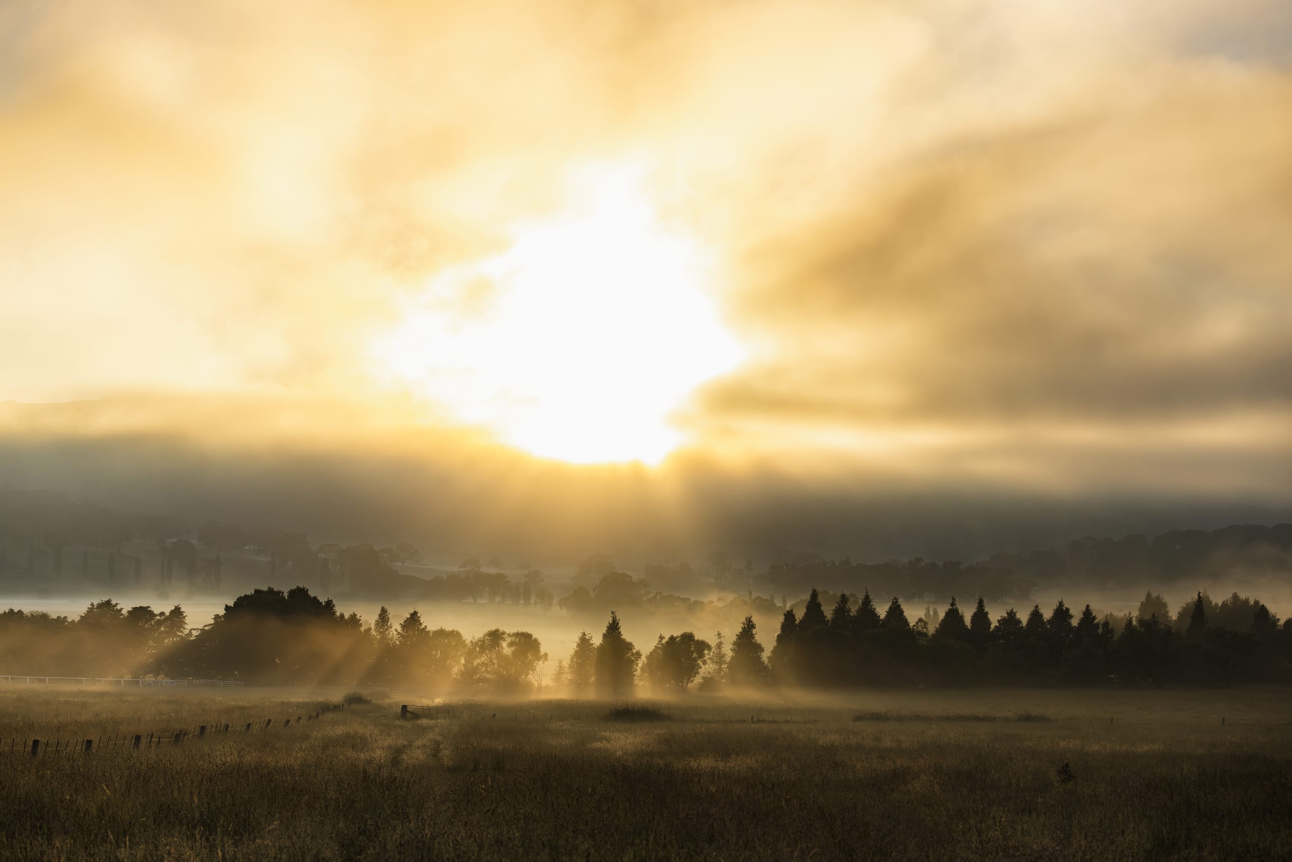 Golden sunrise glowing through mist over farm hills