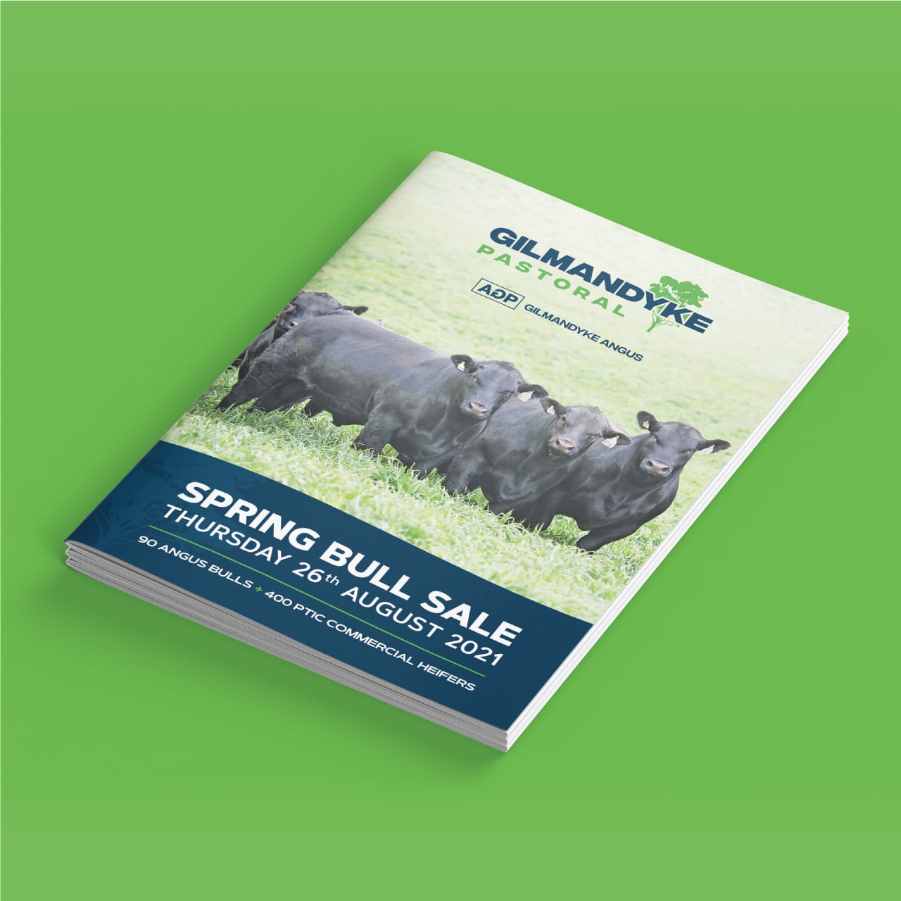 Gilmandyke Pastoral spring bull sale booklet mockup on a green background