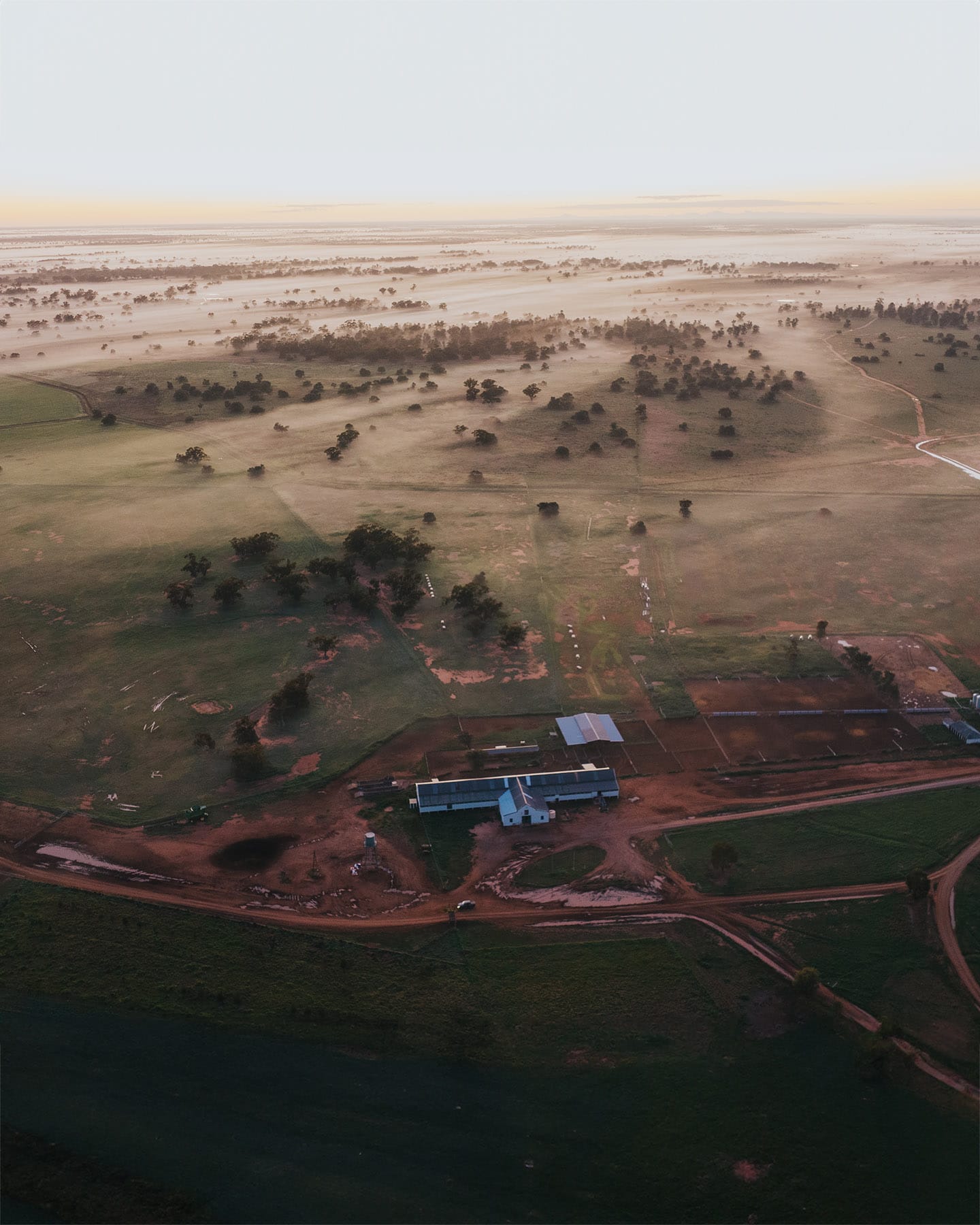 Tall aerial view across Haddon Rig country and the woolshed at sunrise