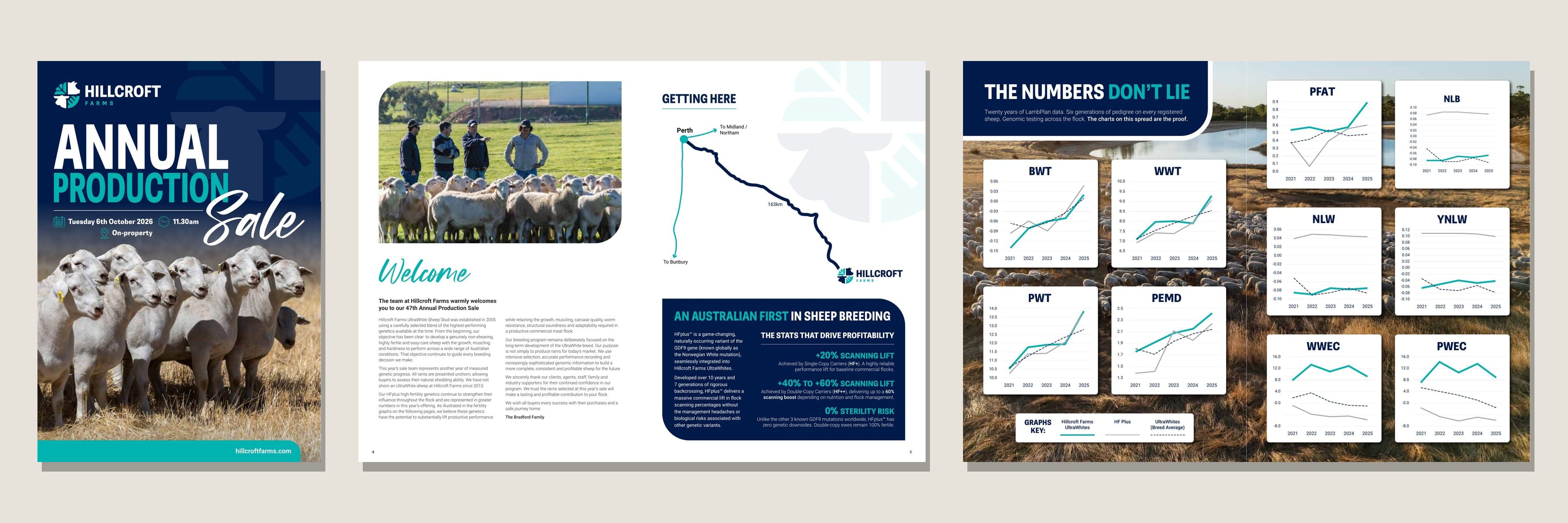 Hillcroft 2026 Annual Production Sale catalogue cover with welcome and genetic trend spreads