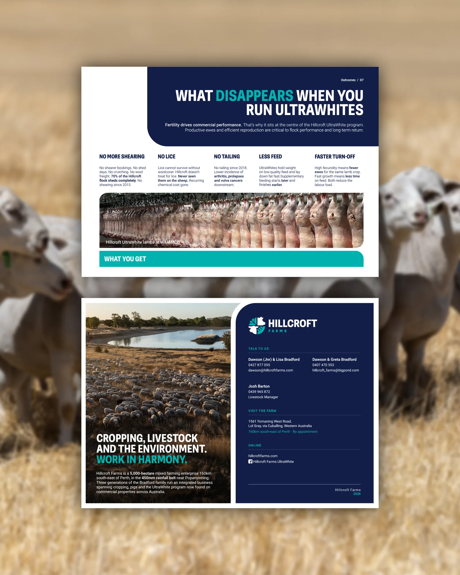 Hillcroft brand booklet spreads on what disappears when producers run UltraWhites