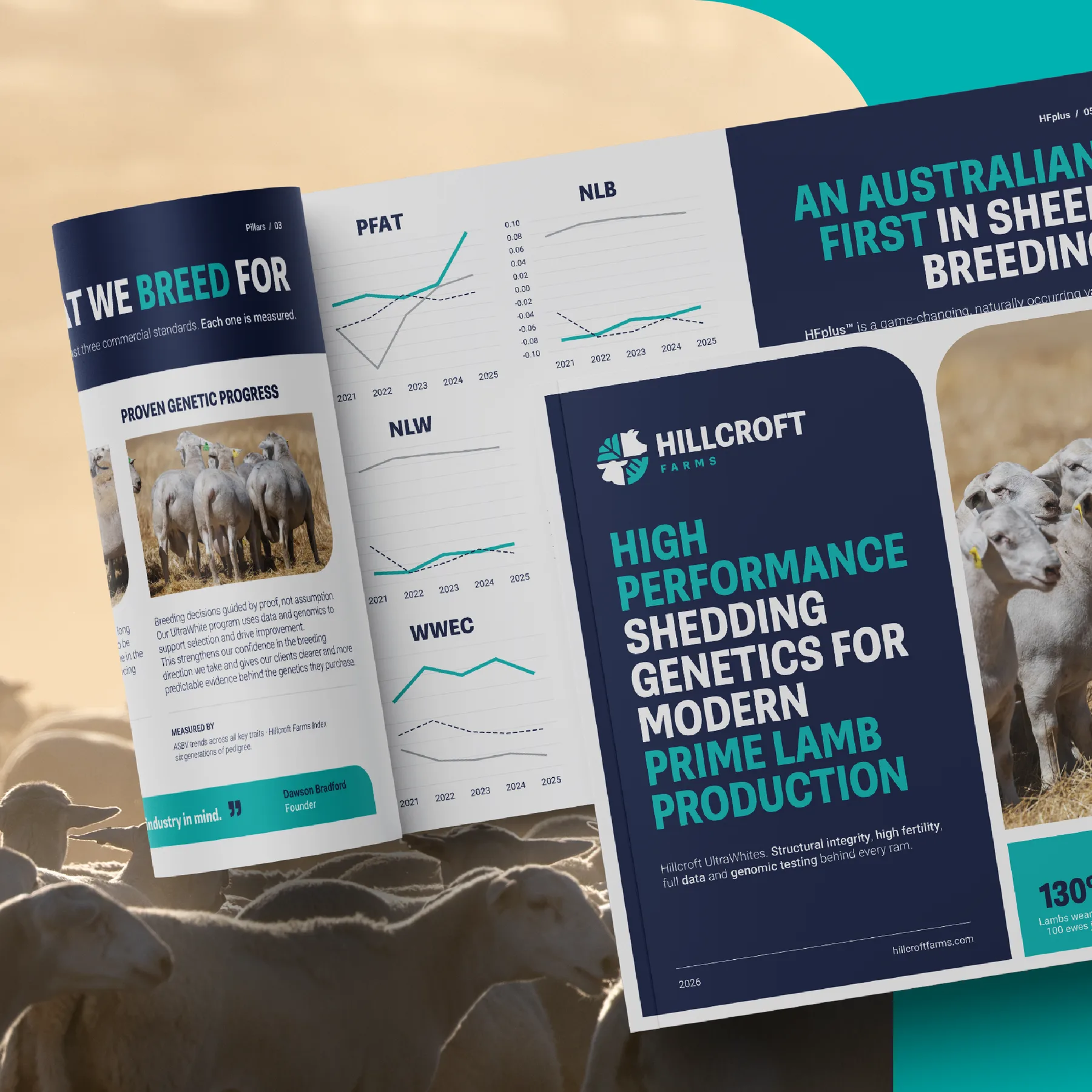 Open Hillcroft brand booklet showing genetic trend charts and breeding objectives