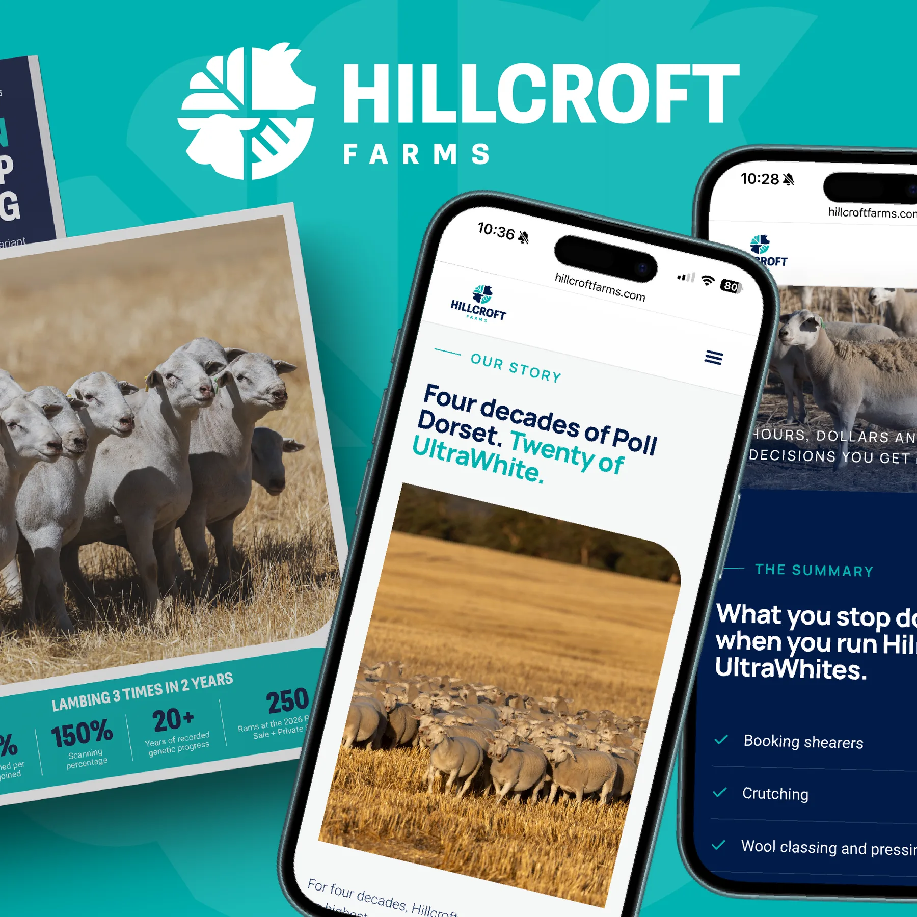 Hillcroft Farms logo on teal with the mobile website shown on two phones