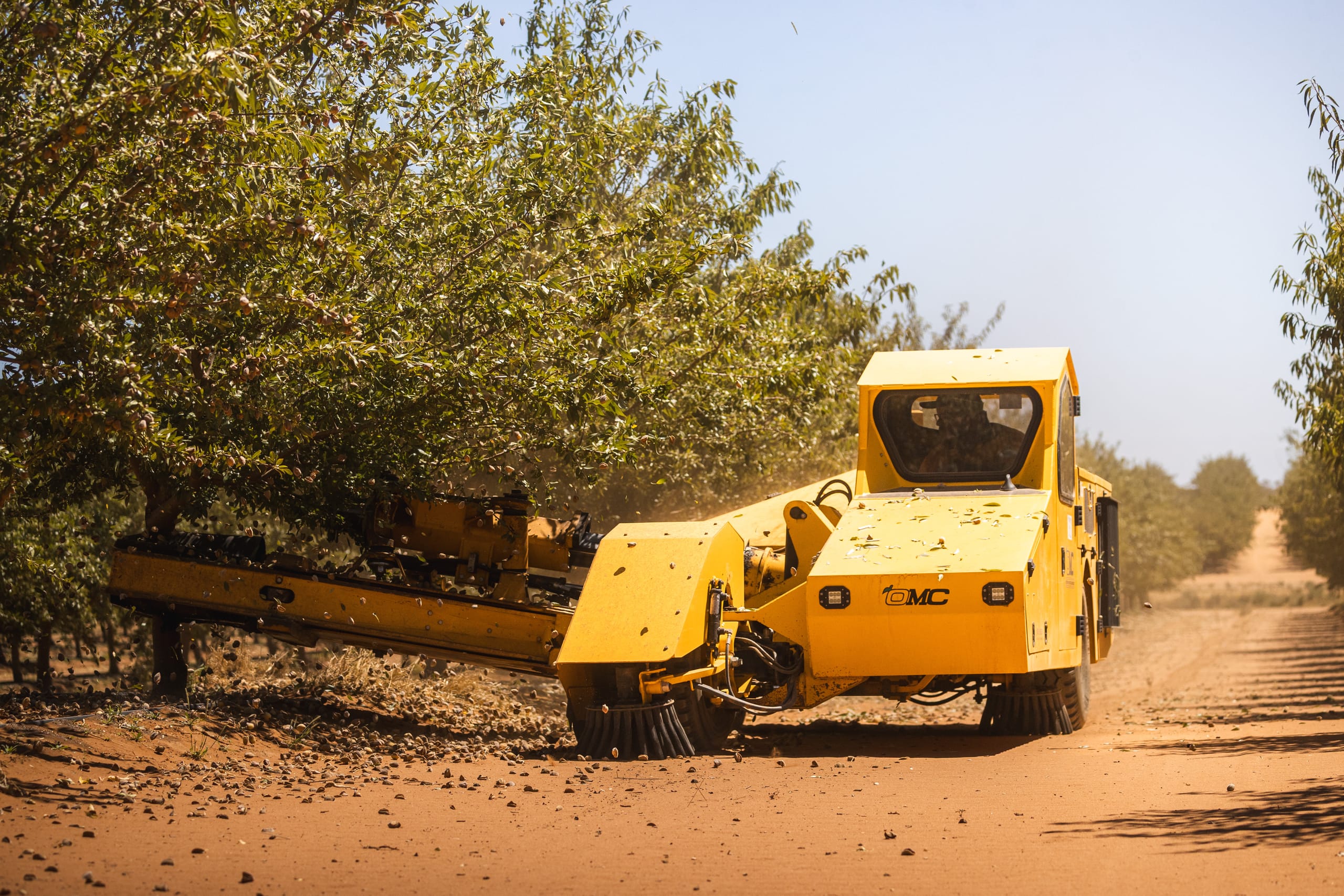 Yellow harvesting machine driving between orchard rows