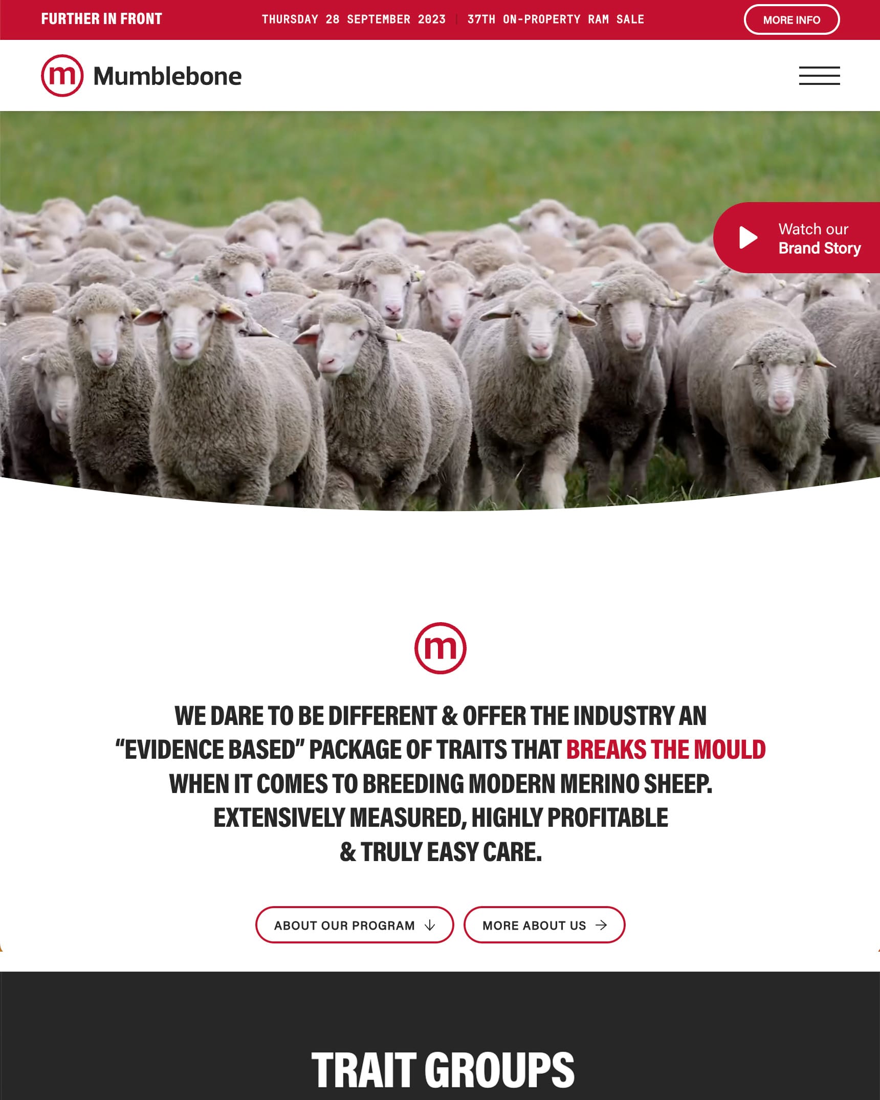 Browser mockup of the Mumblebone Merinos website with the homepage hero flock and brand story call to action