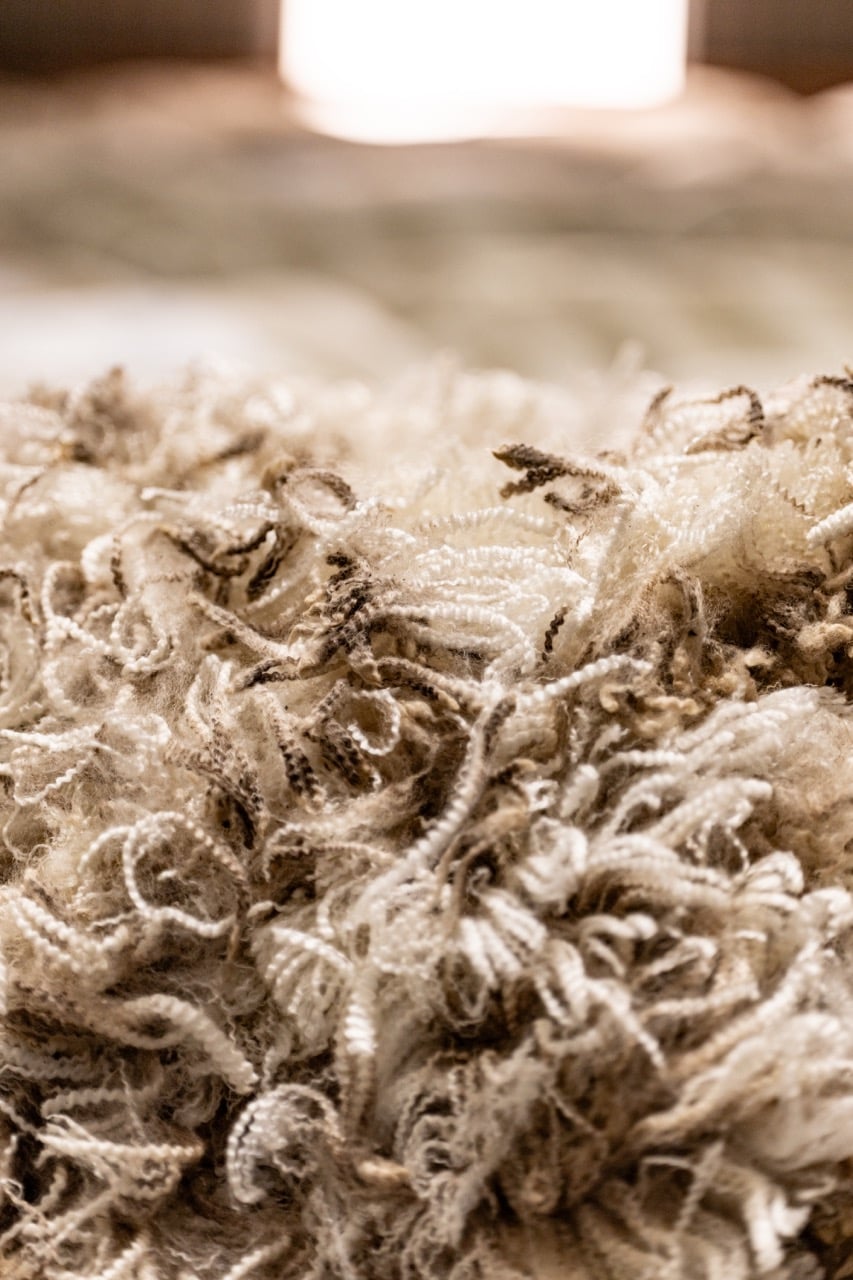 Macro detail of a Mumblebone Merino fleece showing fine crimped wool
