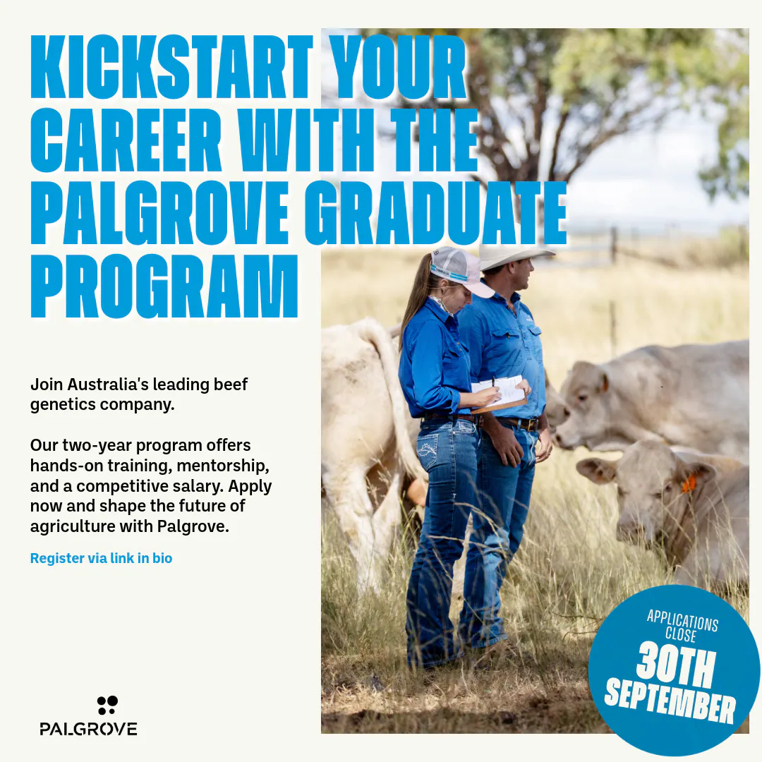 Palgrove social campaign tile featuring stud cattle and brand typography