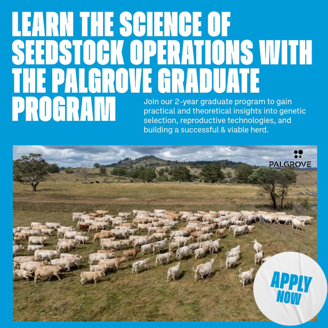 Alternate Palgrove social campaign tile with on-property photography