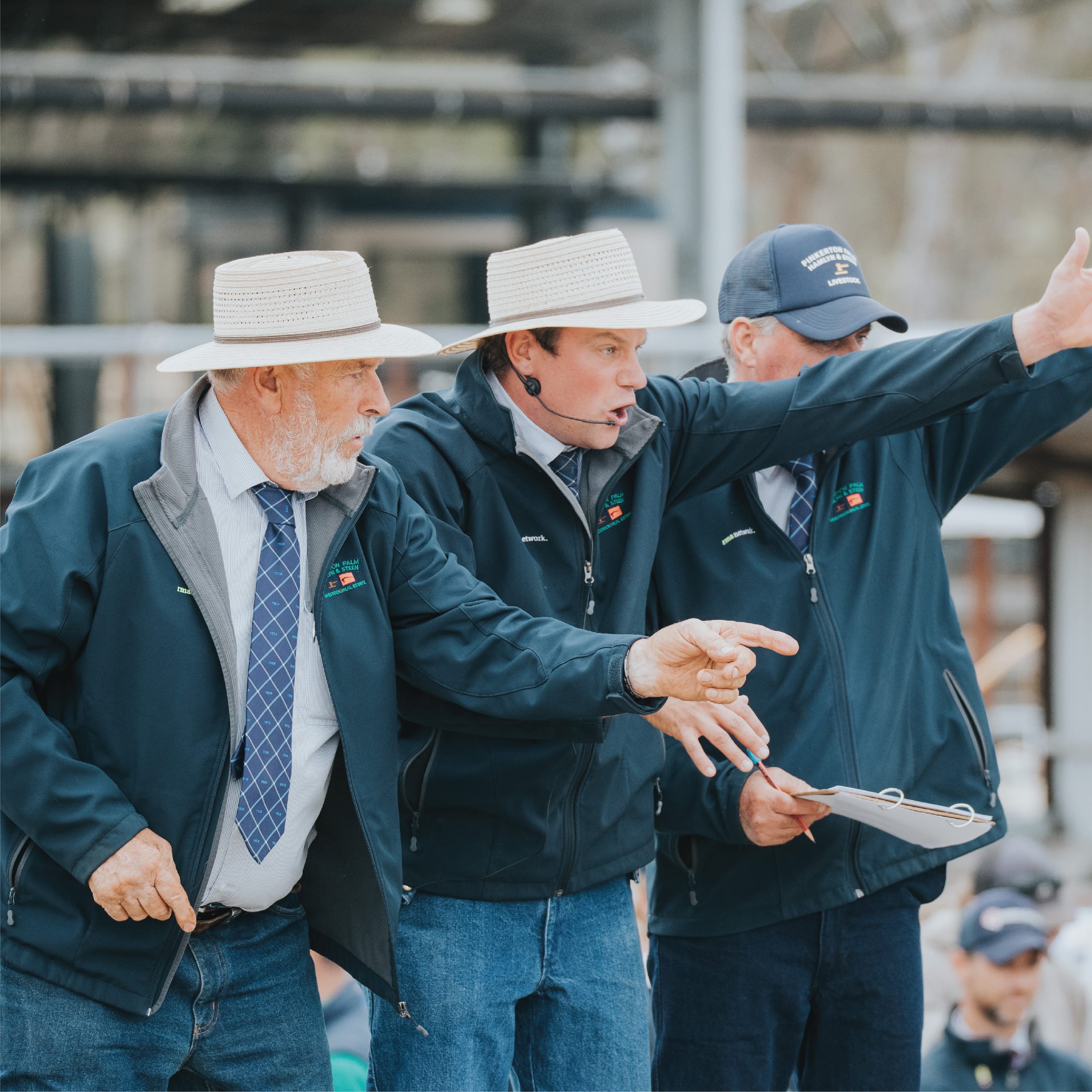 Three livestock auctioneers in branded jackets pointing and calling bids at a sale yard