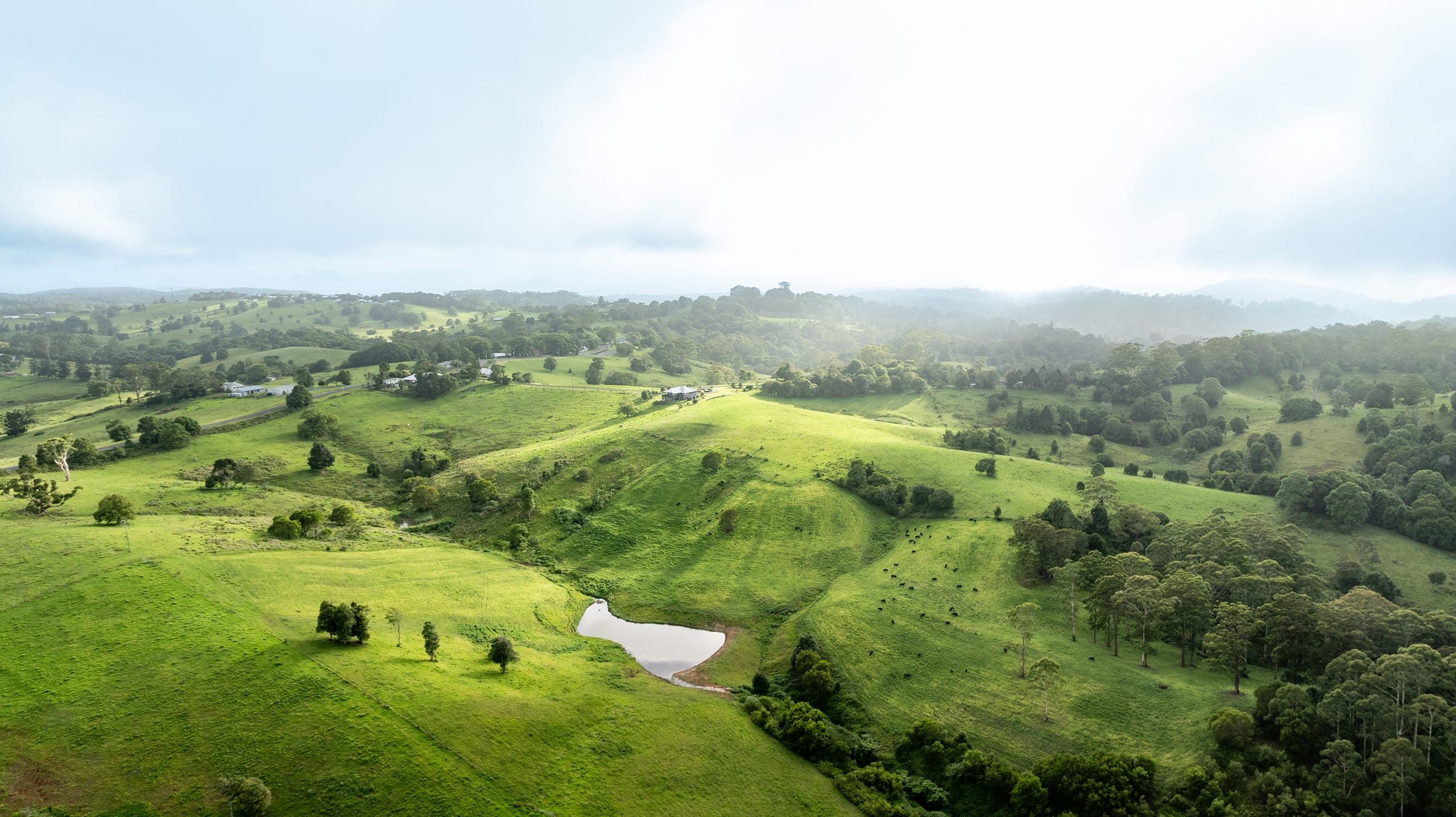 Aerial view of rolling green farmland, trees, cattle, and a pond under low cloud