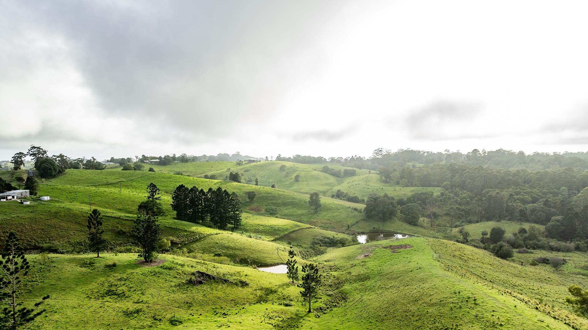 Wide view of rolling green farmland, ponds, and trees under cloudy skies