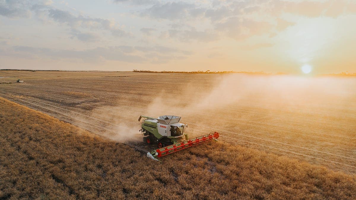 Header harvesting a crop at sunset, photographed by Oga Creative